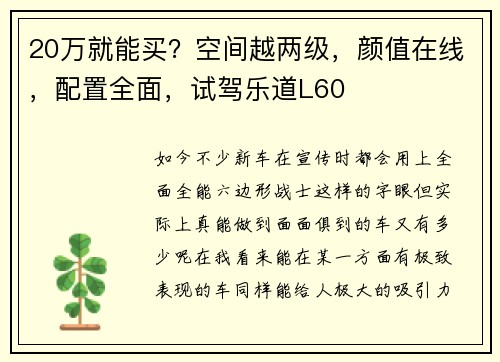 20万就能买?空间越两级,颜值在线,配置全面,试驾乐道L60